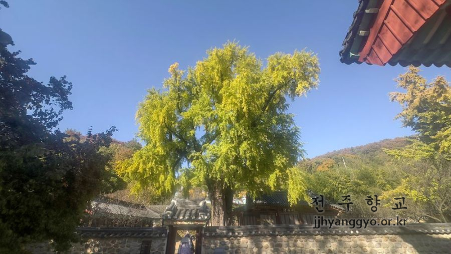 P20251111_142258308_FB75A0A1-0DA8-4B19-9CBF-99AA265EBF9B 복사.jpg